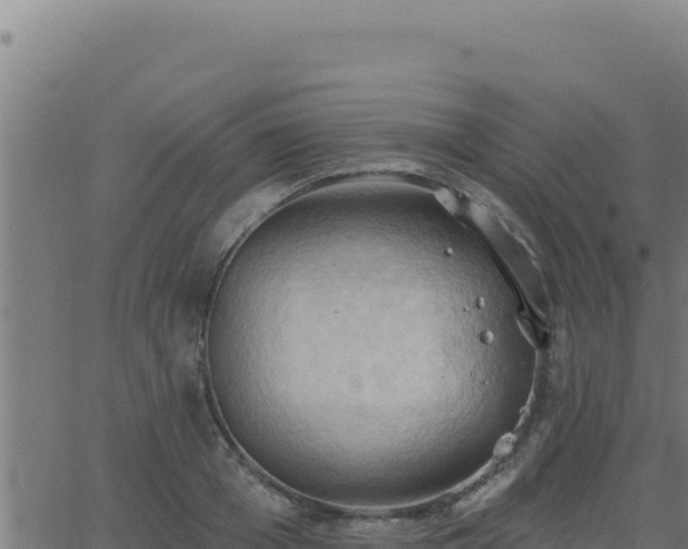 X0000062890985200601171509