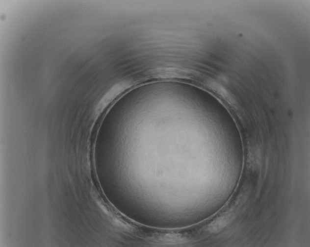 X0000062890986200601171509