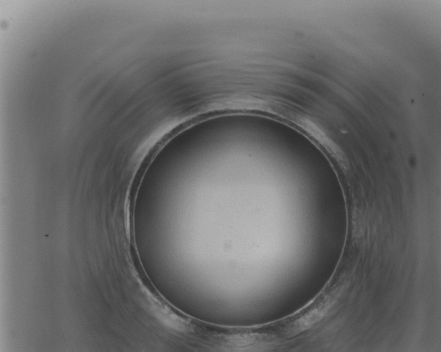 X0000062890988200601171509