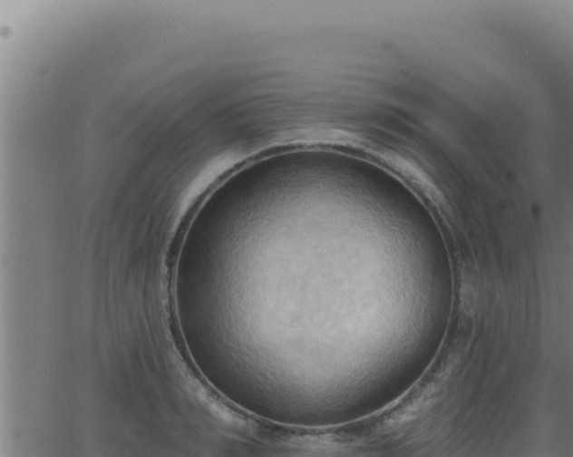 X0000062890990200601171509