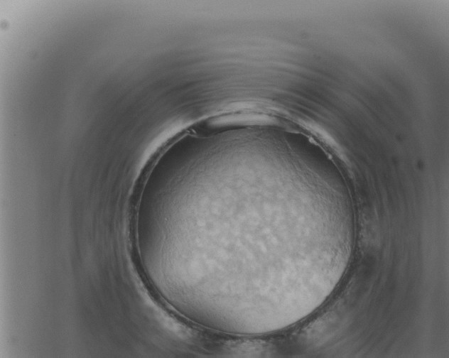 X0000062890991200601171509