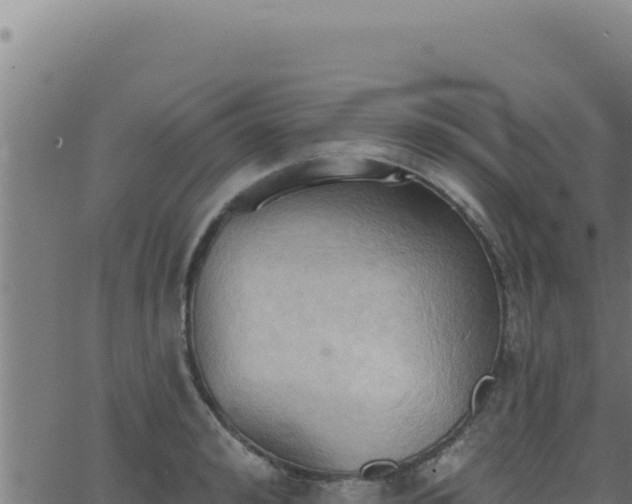 X0000062890992200601171509