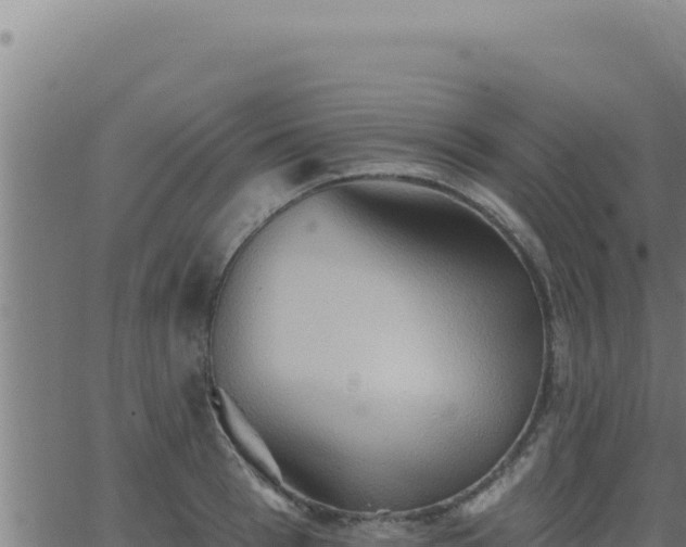 X0000062890993200601171509