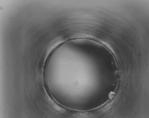 X0000062890995200601171509