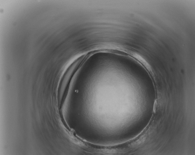 X0000062890996200601171509