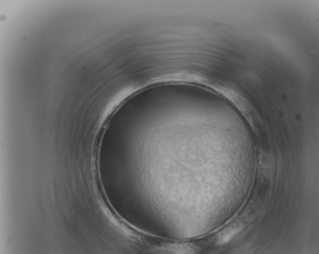 X0000062890998200601171509