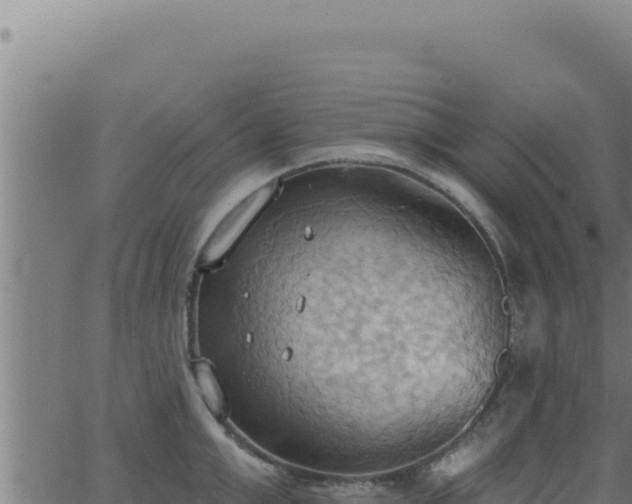 X0000062890999200601171509