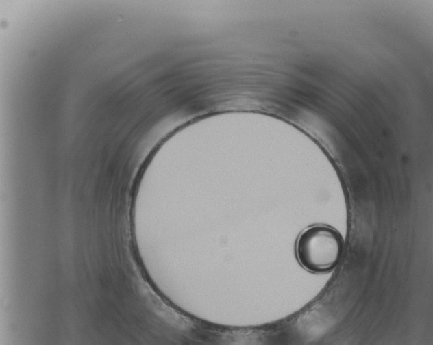 X0000062891000200601171509