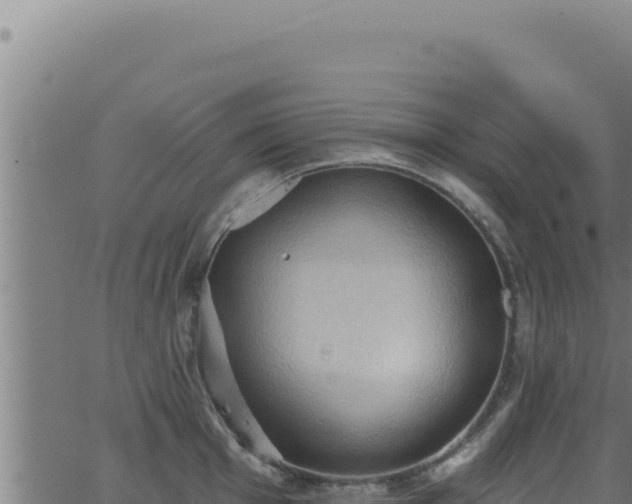 X0000062891001200601171509