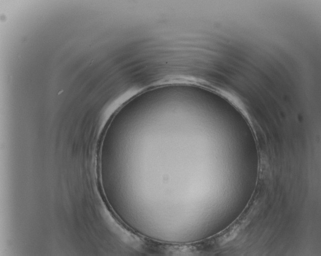 X0000062891003200601171509