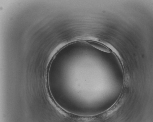 X0000062891005200601171508