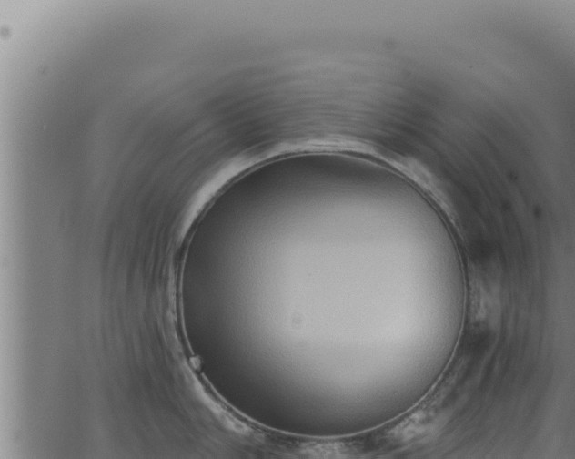 X0000062891006200601171508