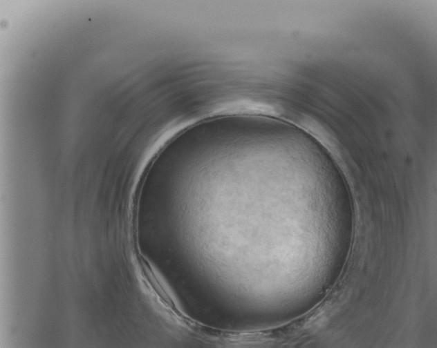 X0000062891008200601171508