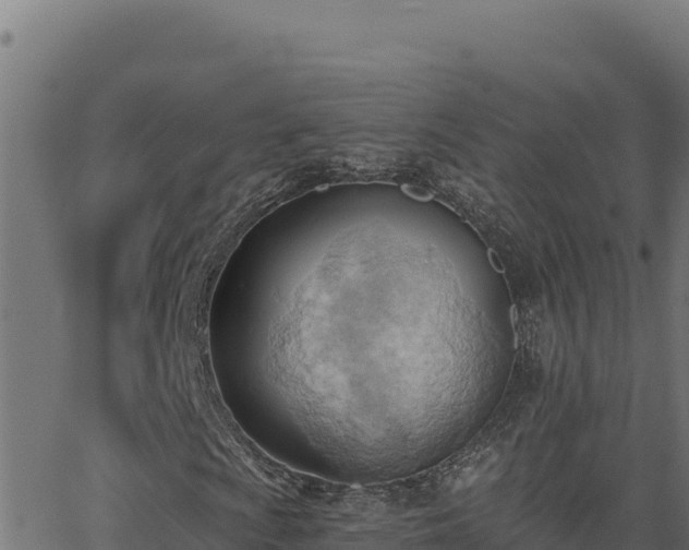 X0000062891009200601171508