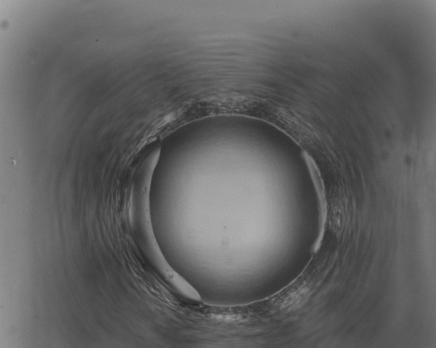 X0000062891010200601171508