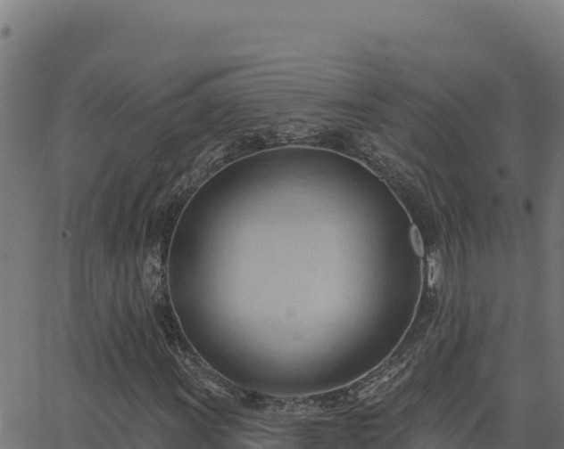 X0000062891011200601171508