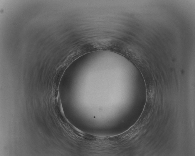 X0000062891012200601171508