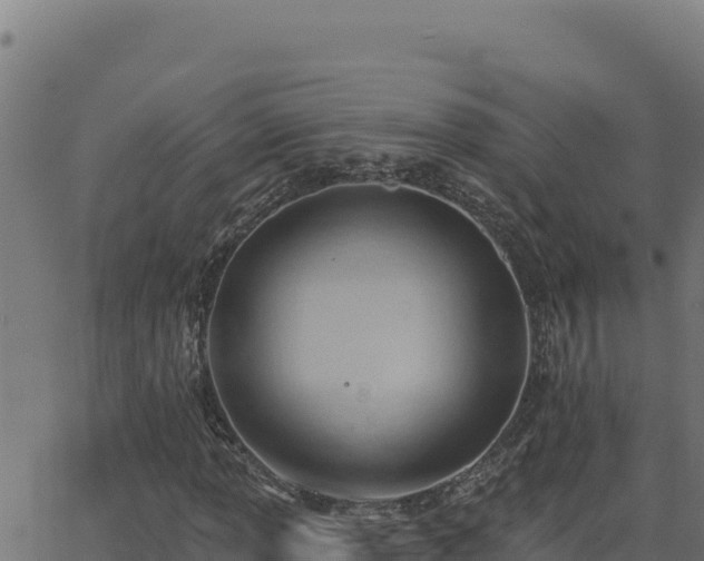 X0000062891013200601171508