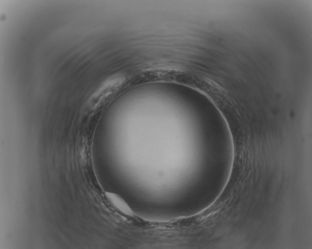 X0000062891014200601171508