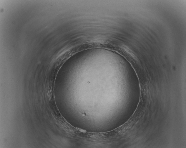 X0000062891015200601171508