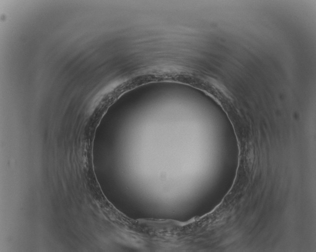 X0000062891016200601171508