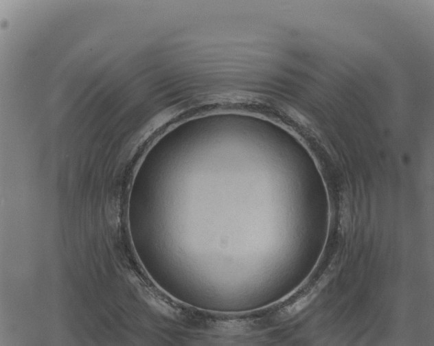 X0000062891017200601171508