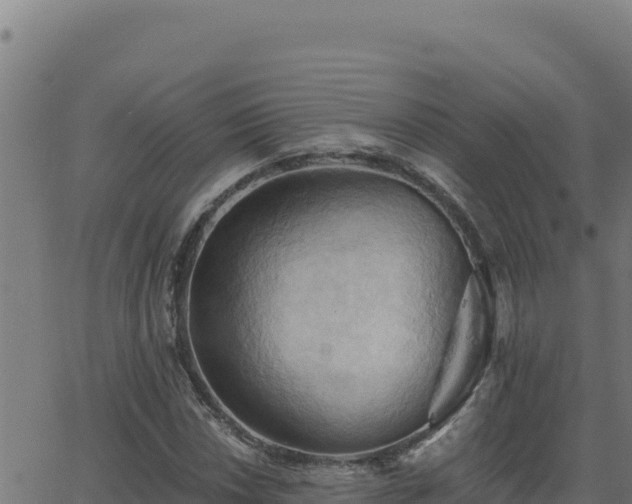 X0000062891018200601171508