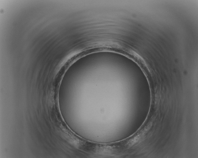 X0000062891019200601171508