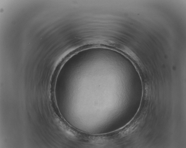 X0000062891020200601171508