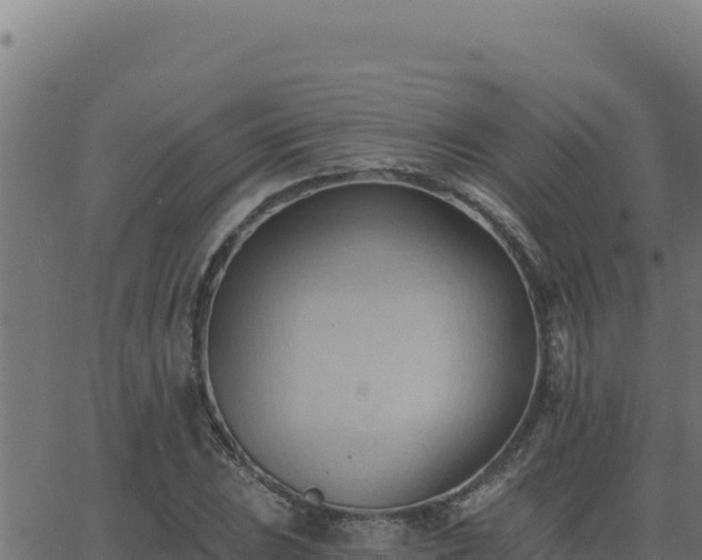 X0000062891023200601171508