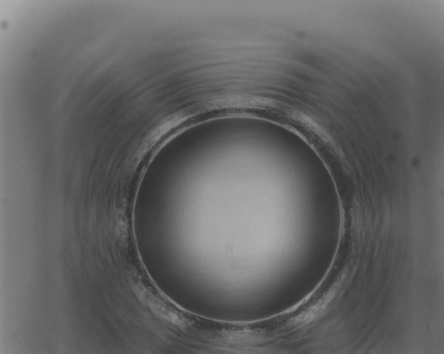 X0000062891025200601171508