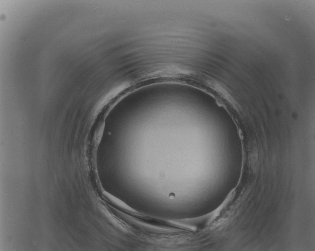 X0000062891026200601171508