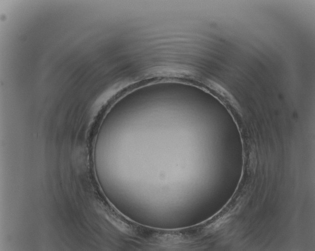 X0000062891027200601171508