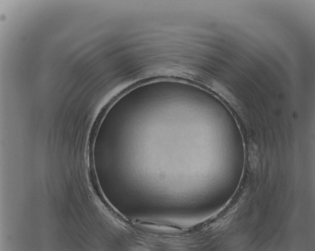 X0000062891028200601171508