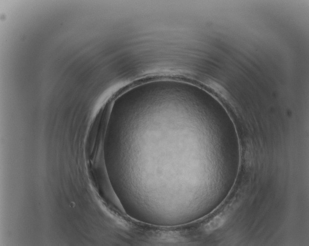 X0000062891030200601171508