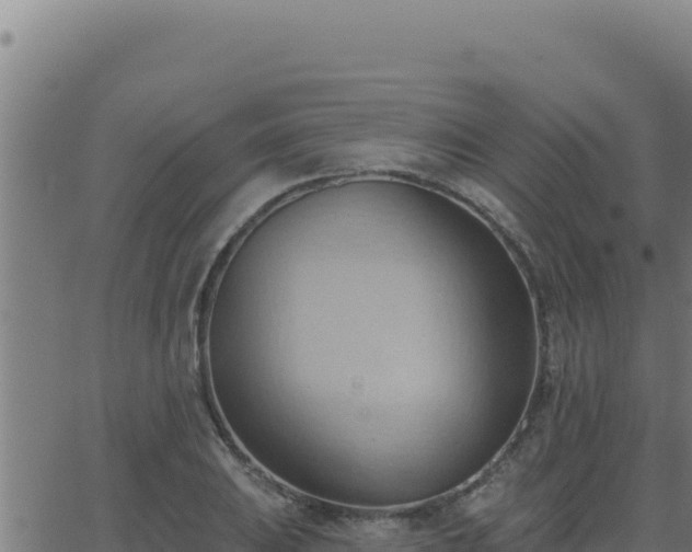 X0000062891031200601171508