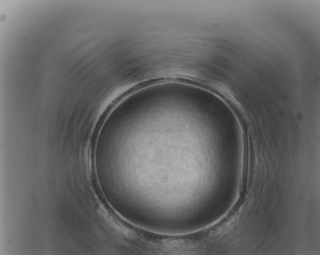 X0000062891032200601171508