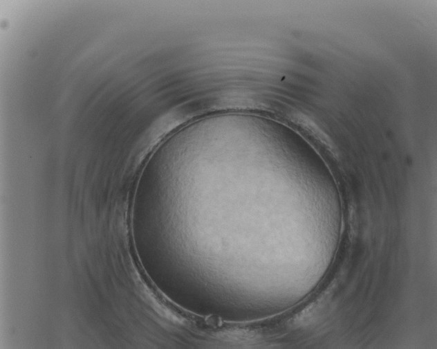 X0000062891033200601171508