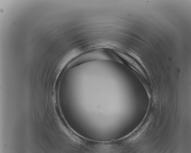 X0000062891034200601171508