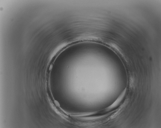 X0000062891038200601171508