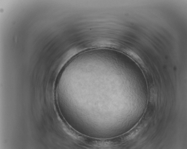 X0000062891039200601171508