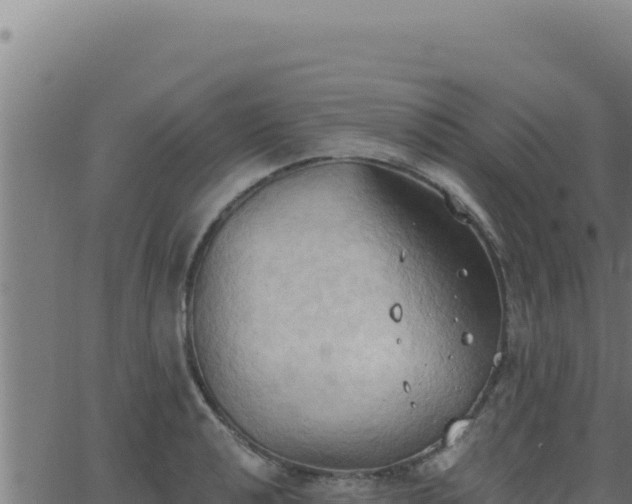 X0000062891040200601171508