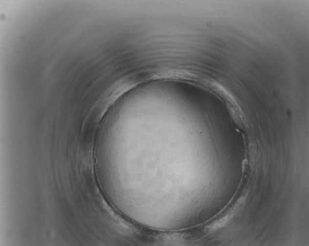 X0000062891041200601171508