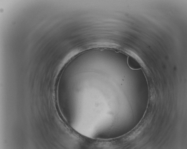 X0000062891043200601171508