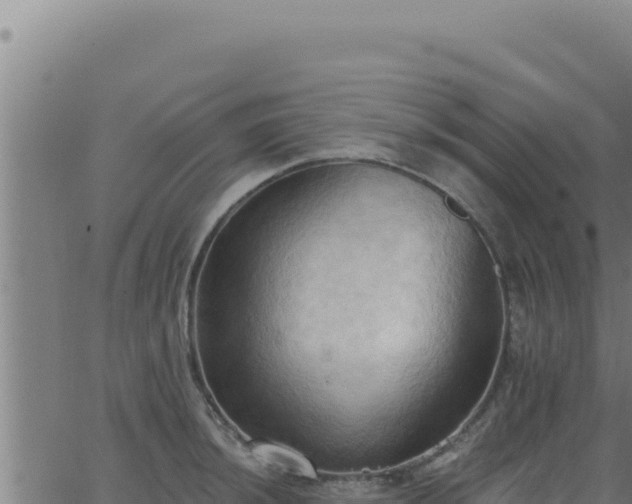 X0000062891044200601171508