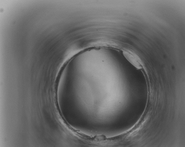 X0000062891045200601171508