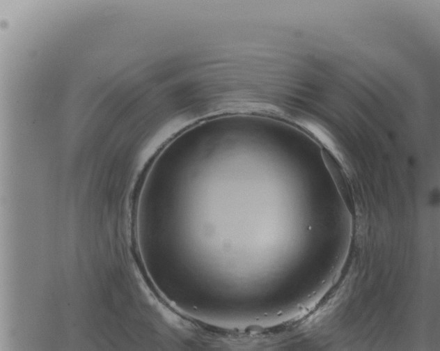 X0000062891046200601171508