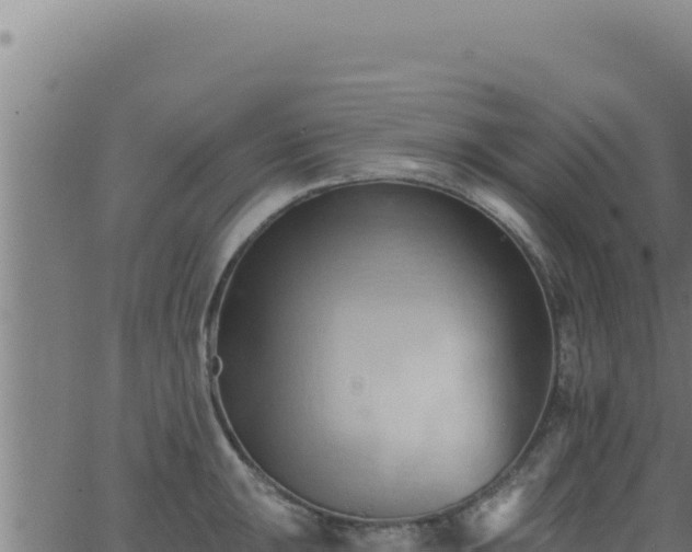 X0000062891047200601171508