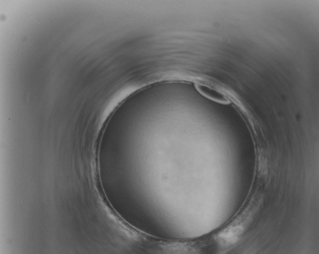 X0000062891048200601171508