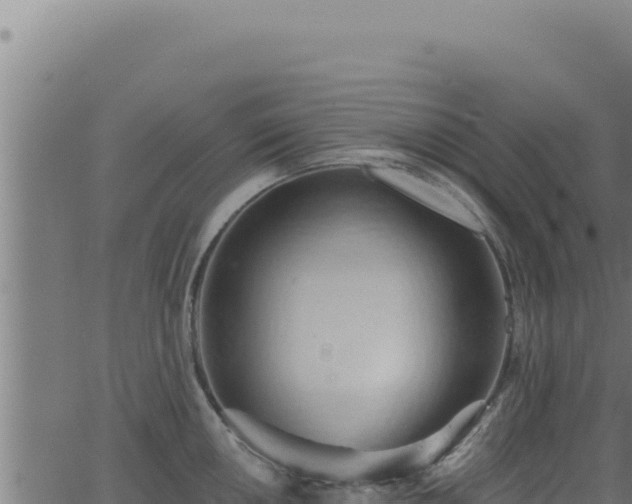 X0000062891050200601171508